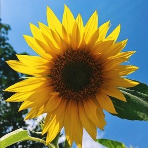 Meet your Posher, Morgayne